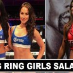 Boxing Ring Girls Per Fight Earnings 2017