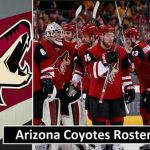 Arizona Coyotes Players Earnings