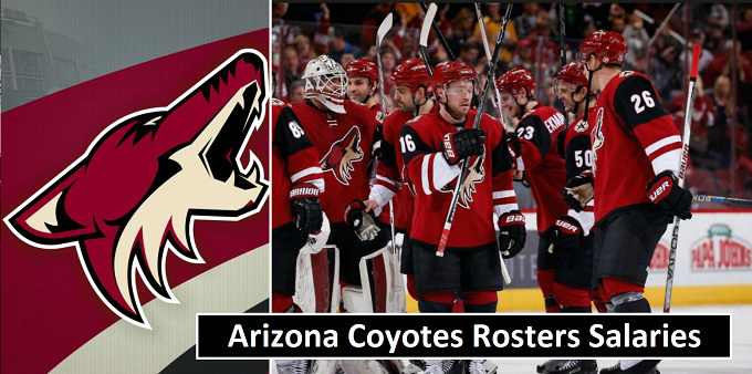 Arizona Coyotes Players Earnings
